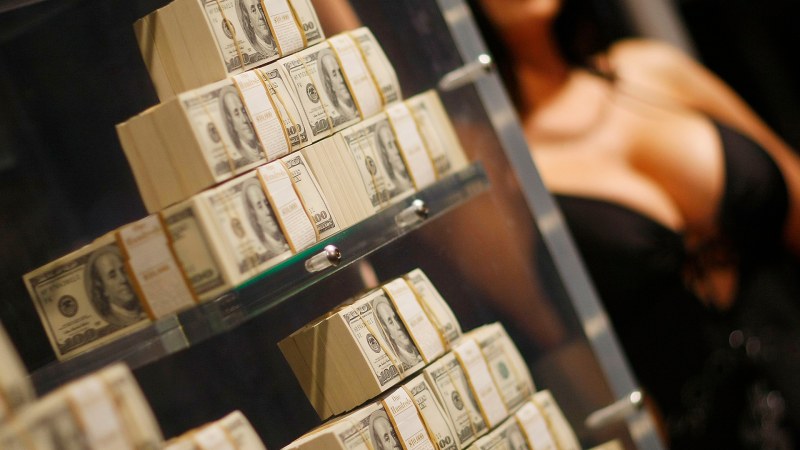 Millionaire photo with money