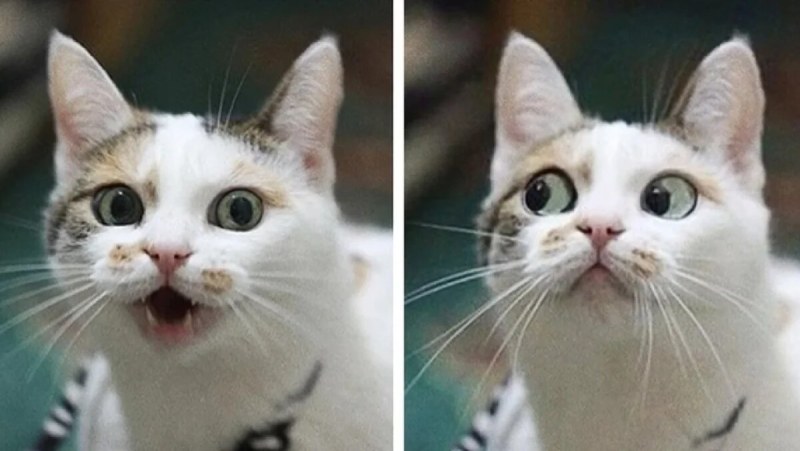 Money in the hands of a girl in a car