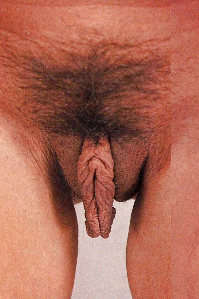 Big small labia lips