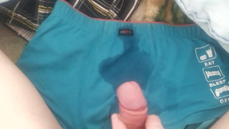 Male penis in shorts