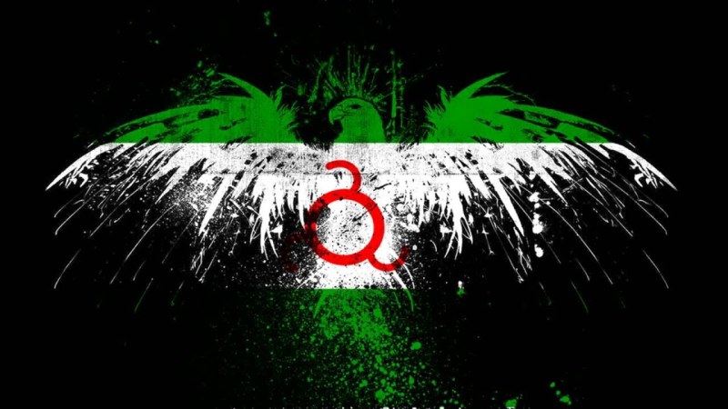 Ingush flag on the back