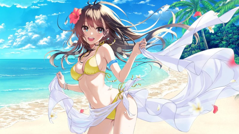 Anime girls in swimsuits