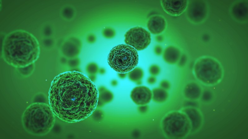 Put the vacuum cleaner in the vagina