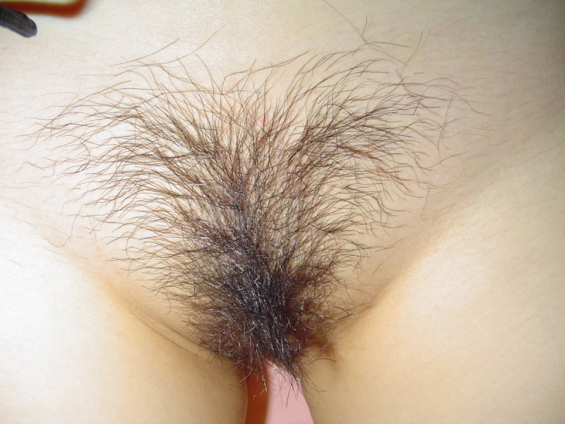 The Head of the Male Penis Spreads The Labia Close-Up