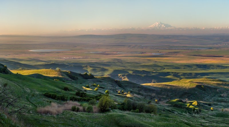 Colt from Bravl Stars dances