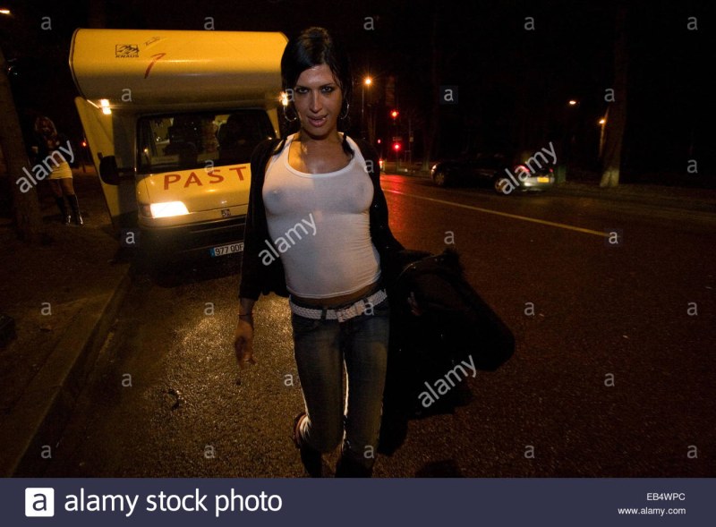 Bolesky forest in Paris at night