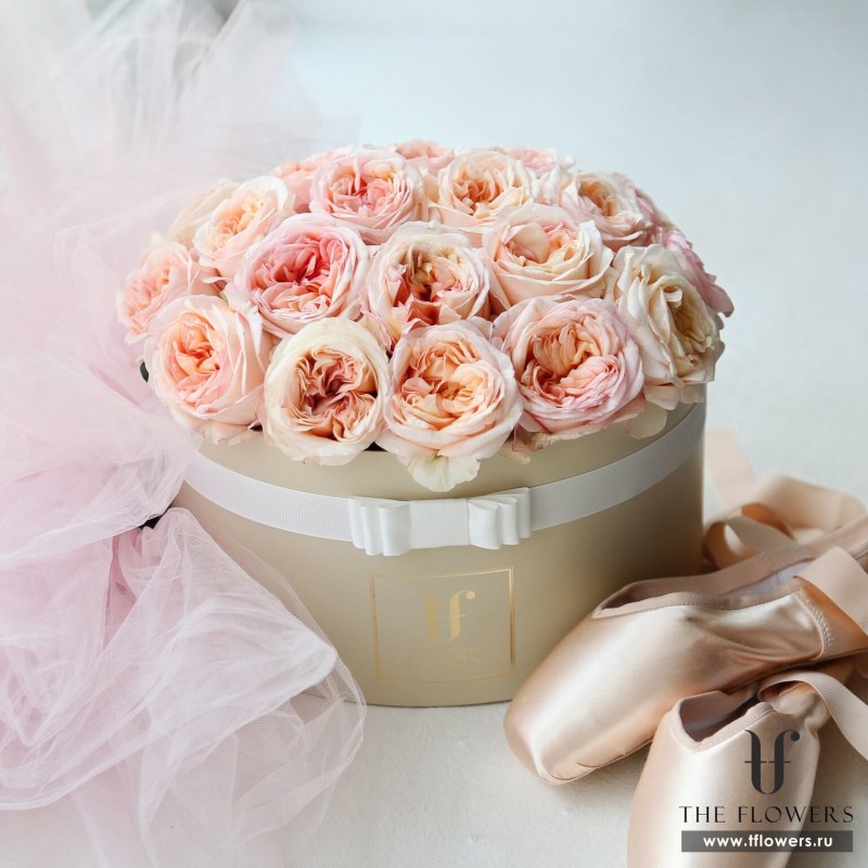 Face and Vagina celebrities