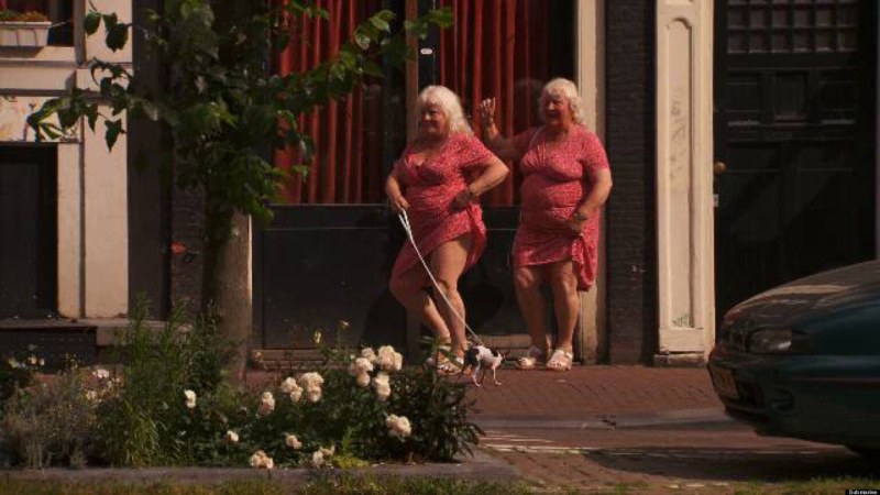 Night butterflies on the highway