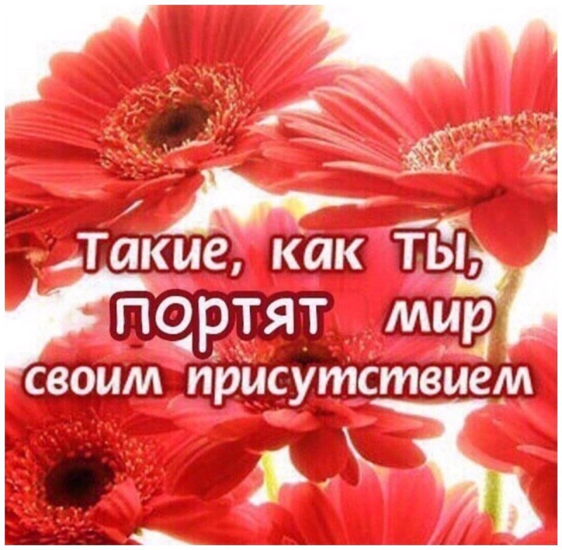 Virgin Kiryu Chad Majima