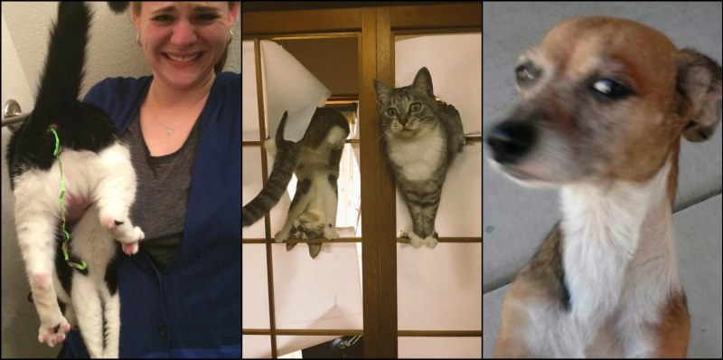 Turkish Domalma Anne 2020 ev Hali