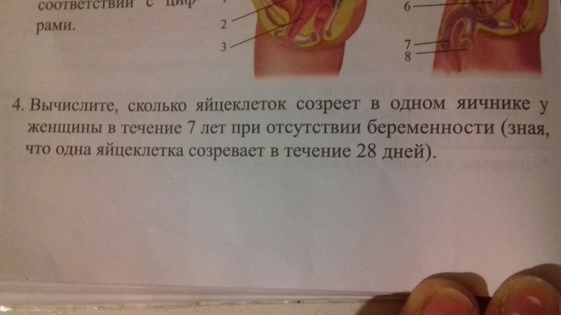 Anime comic book cheating in Japanese