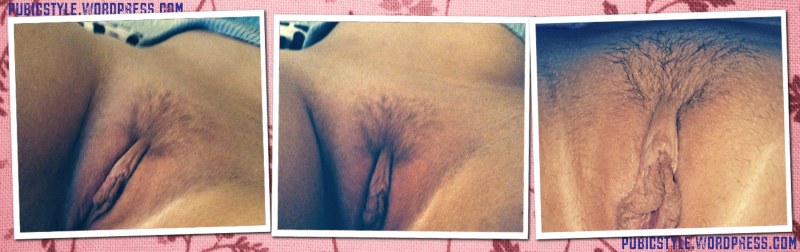 Hairy pussies of angels