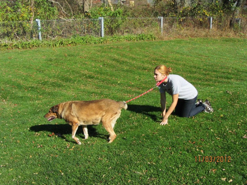 The figure of a woman from different angles