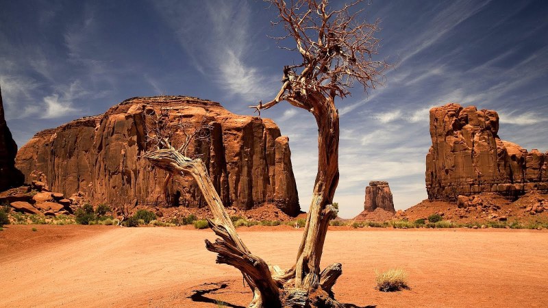 Czech Family on Beach