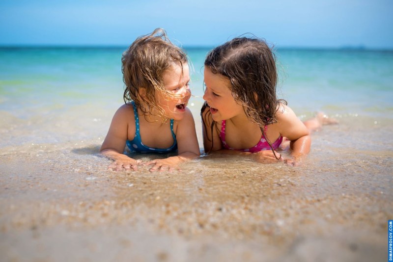 Sign of the Swallow Witcher