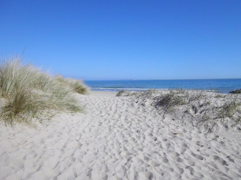 Beautiful men in swimming trunks