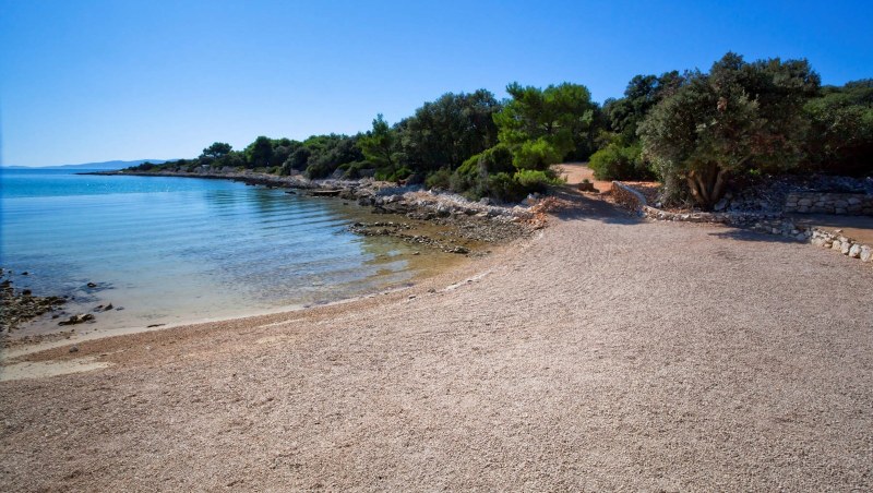 Family by the sea teenagers
