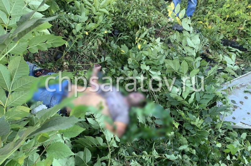 Alexandra Miroshnichenko Tverk