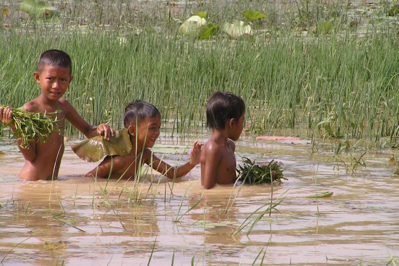 Naturist families on the beach