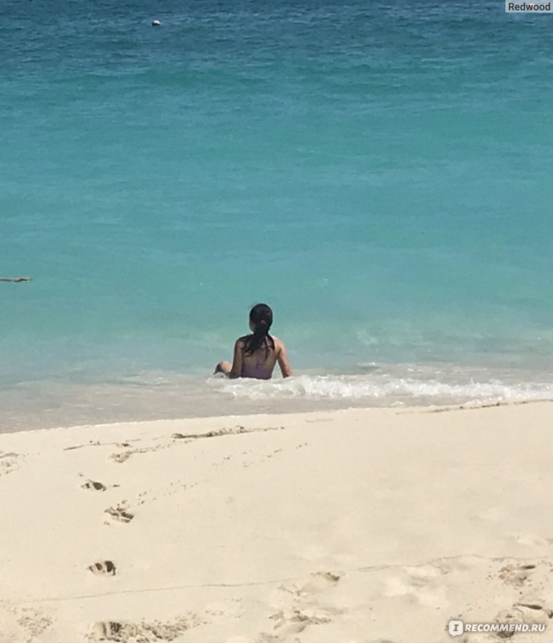 Dad and son of a surfing beach