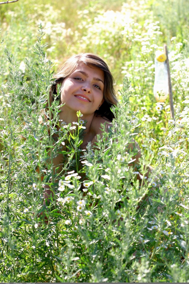 Infinite summer Viola Ruth