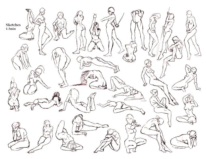 Female genital reference