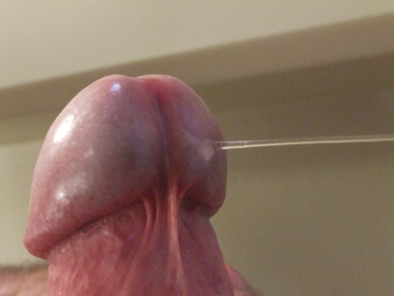 Huge cock close -up
