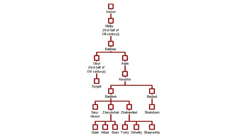 The genealogy of the Middle Zhuz