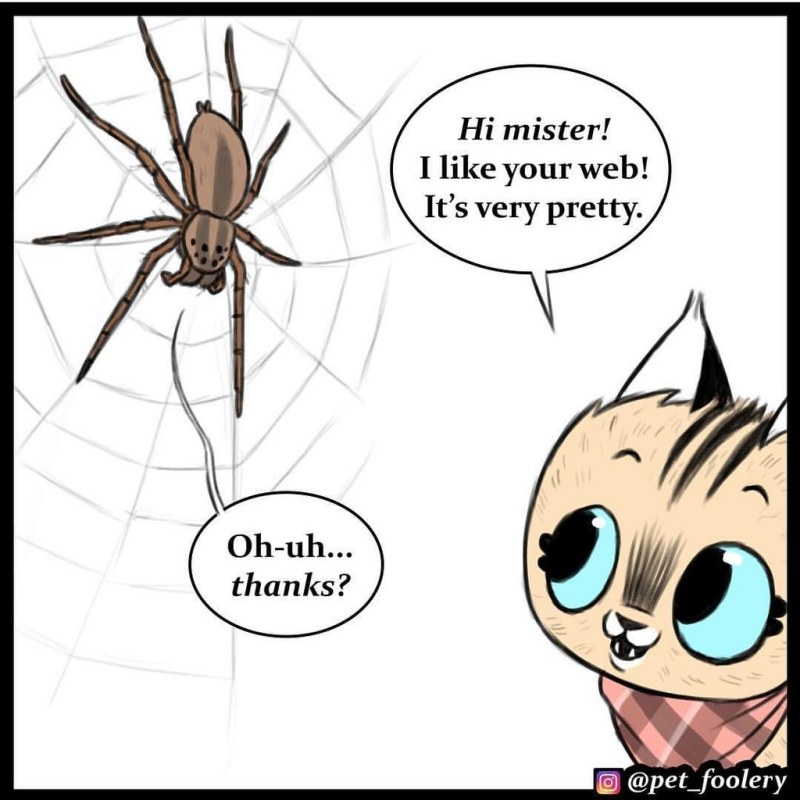 Nissan Silvia S13 Neon