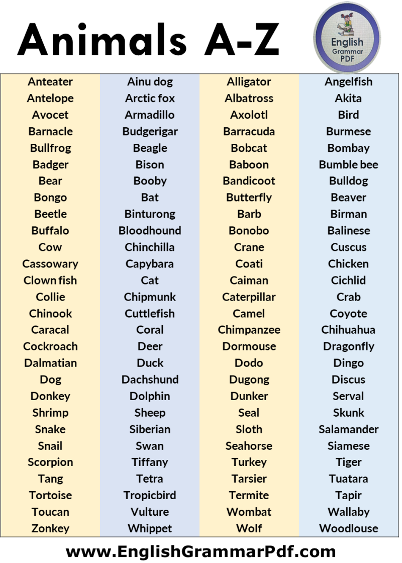 Reunion / Reunion game