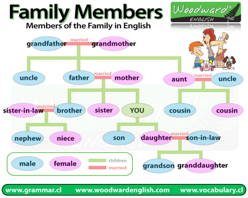 Vocabular Family English
