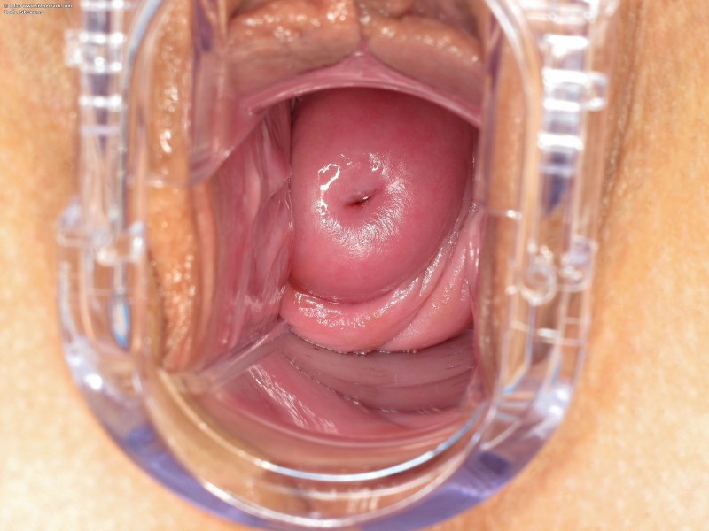 Female vagina from the inside