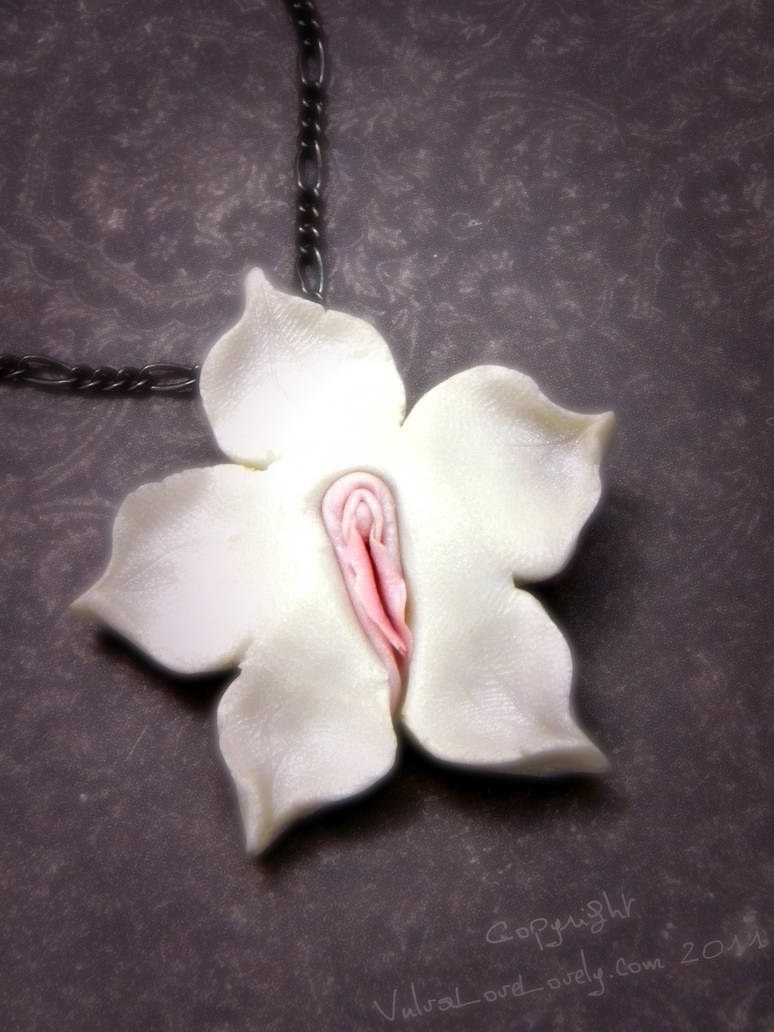 A flower similar to a female genital organ