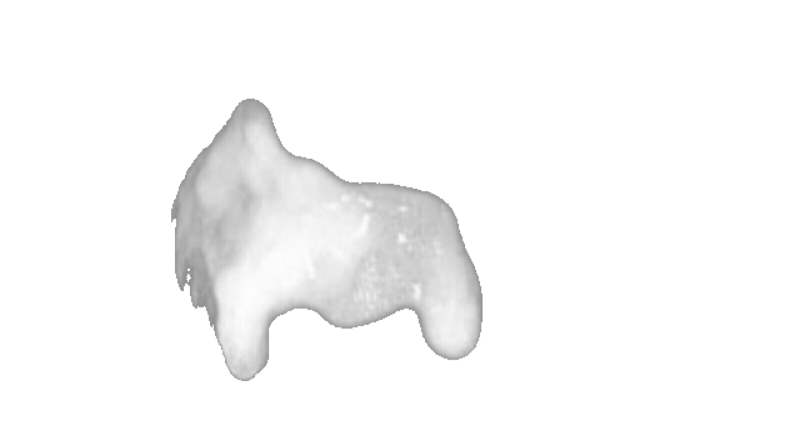 Rebecca Linares Nurse