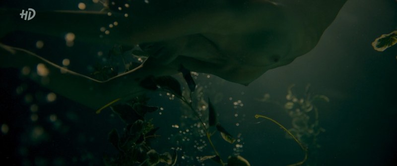 Angelina Strechina hot scenes