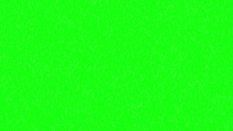 Cody Brayan Pornstar