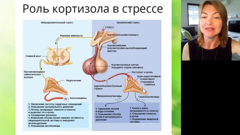 Crystal Skin Fortnight