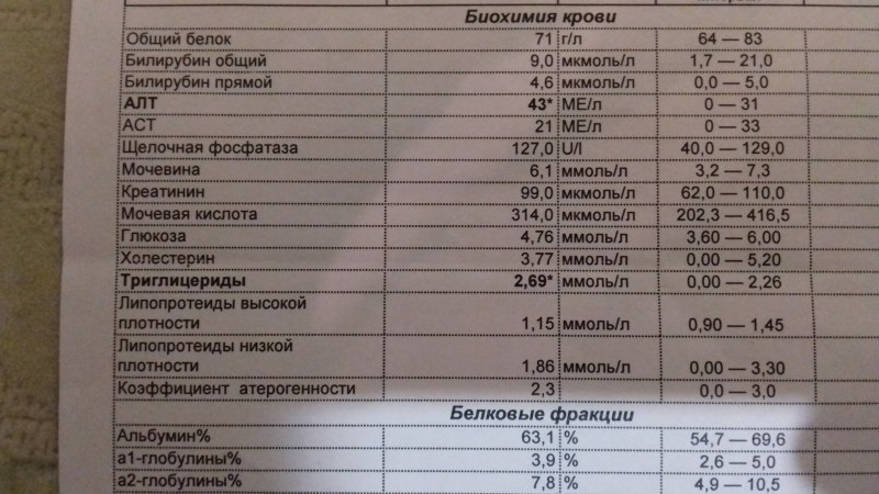 Biochemical blood test of bilirubin norm