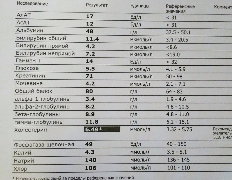Blood test total protein norm in women