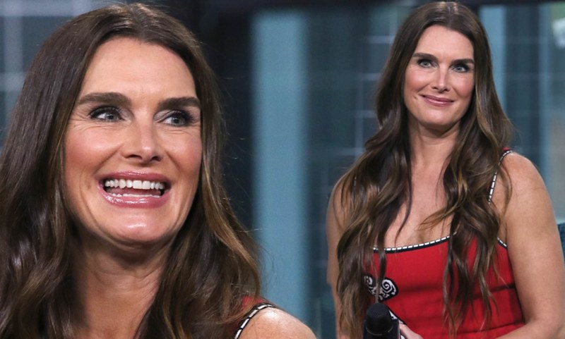 Brooke Shields two and a half people