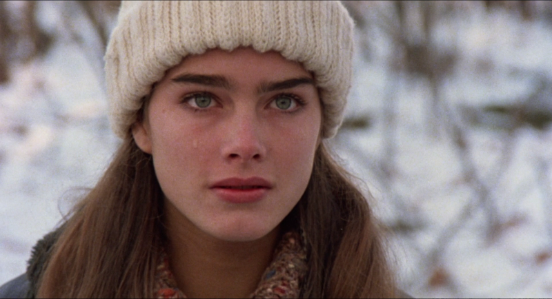 Bruk Shilds Erotic Video