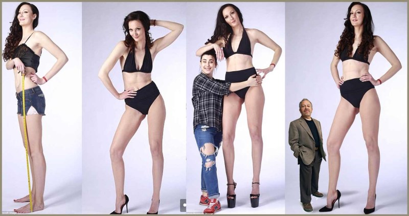 Cassidy Heights model