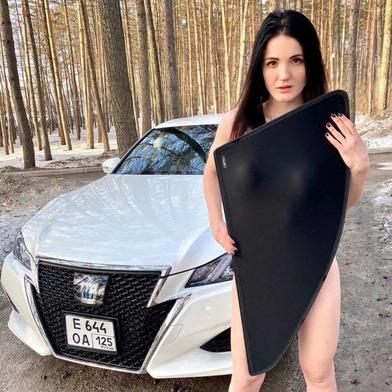 Nissan Skyline R33 Nastya Fog