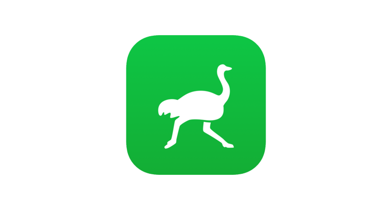 The words of the song are half