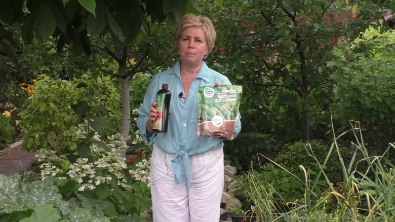 Man of the House Veronica +18