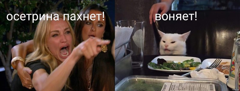 Meme with a cat and two women