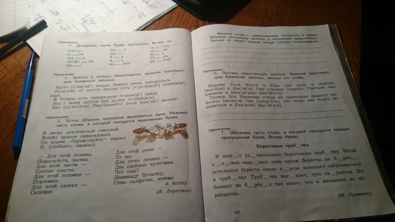 Write off your sentences without errors