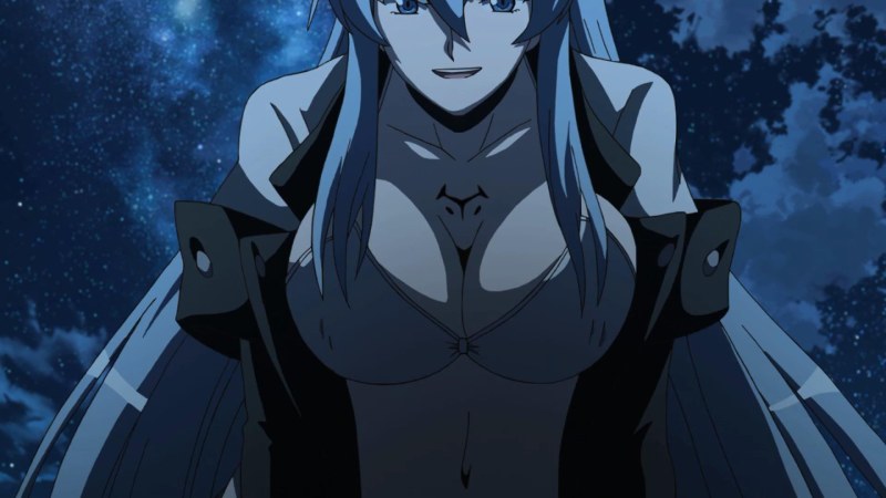 Leone Killer Akame in a swimsuit