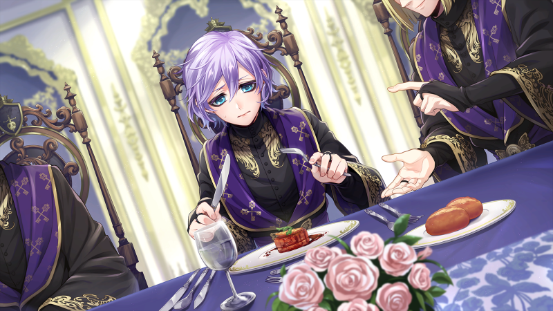 The resume of the developer