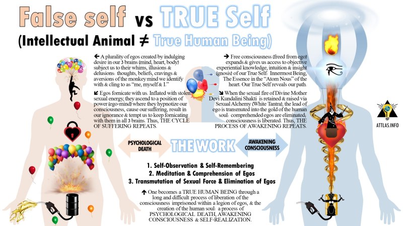 Self -Made Self in Psychology